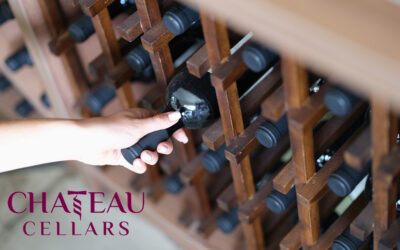 What is Professional Wine Storage?